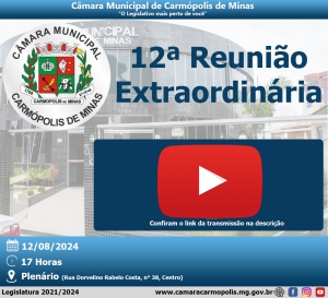 Transmissão da 12ª Reunião Extraordinária (12/08/2024)