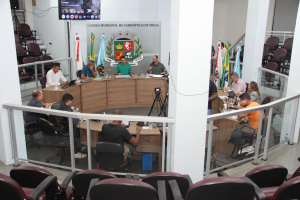 Reunião Ordinária (10/08/2026)